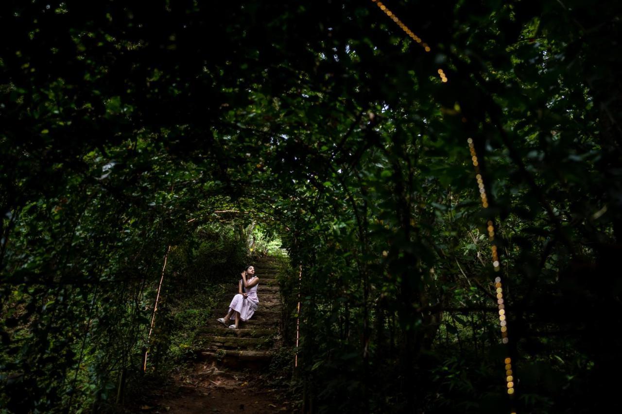 Raindrops Resorts Wayanad 苏丹巴特利 外观 照片