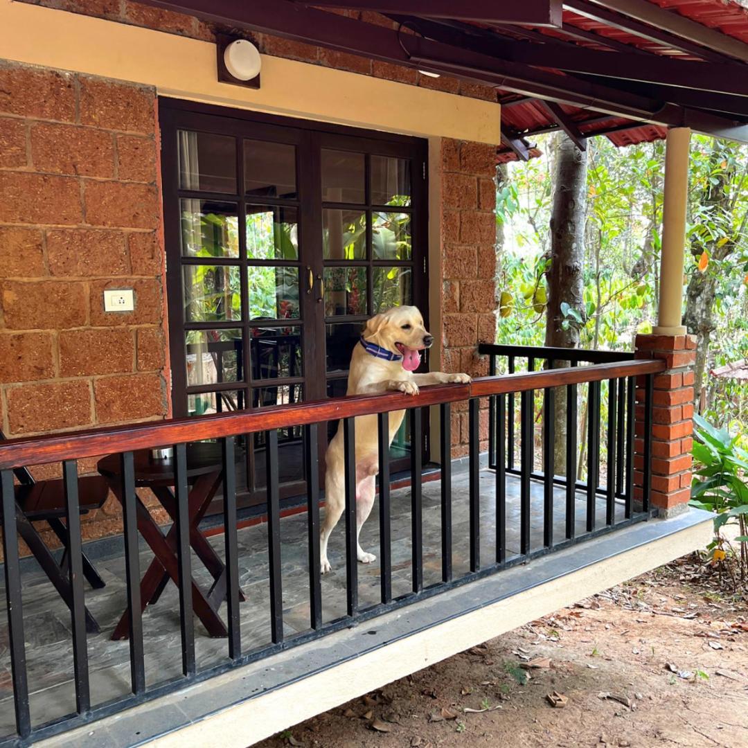 Raindrops Resorts Wayanad 苏丹巴特利 外观 照片