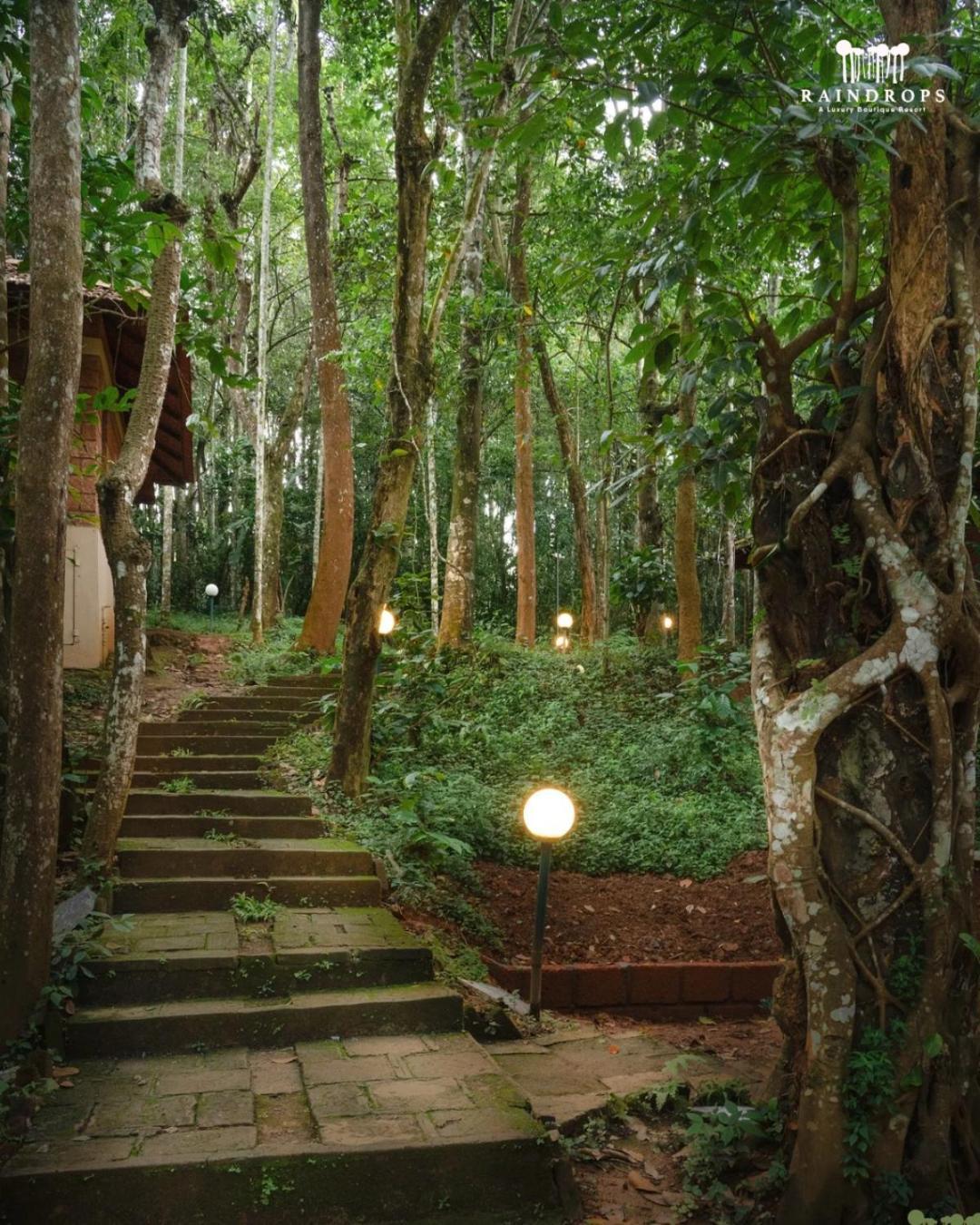 Raindrops Resorts Wayanad 苏丹巴特利 外观 照片