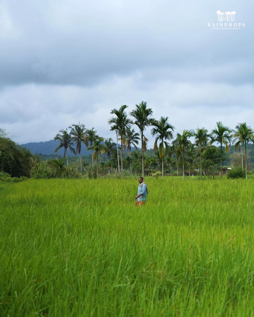Raindrops Resorts Wayanad 苏丹巴特利 外观 照片