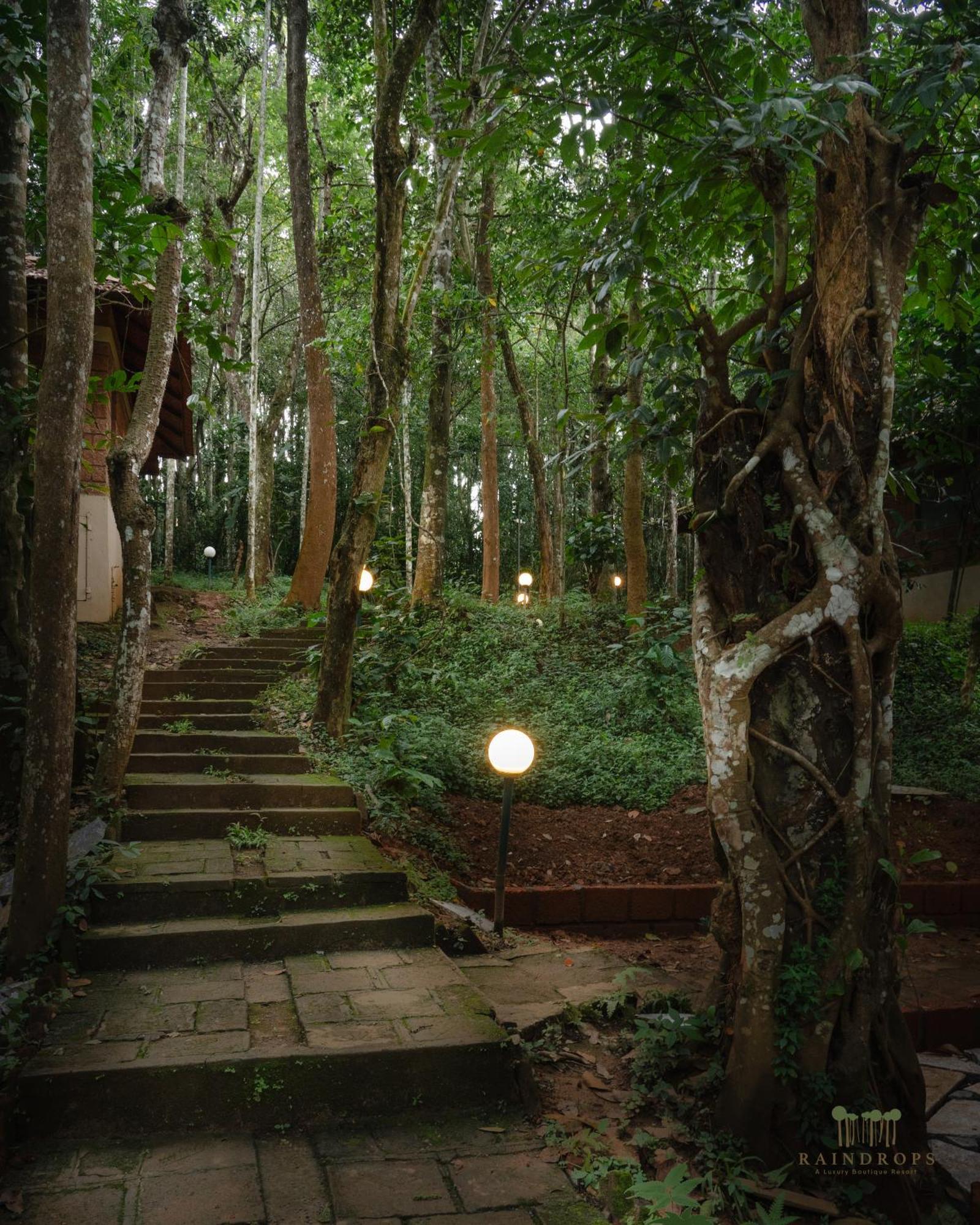 Raindrops Resorts Wayanad 苏丹巴特利 外观 照片