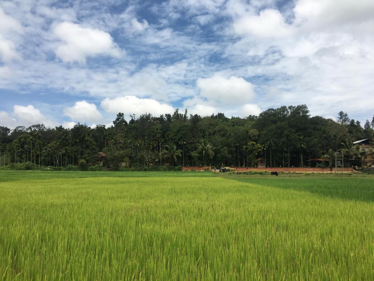 Raindrops Resorts Wayanad 苏丹巴特利 外观 照片