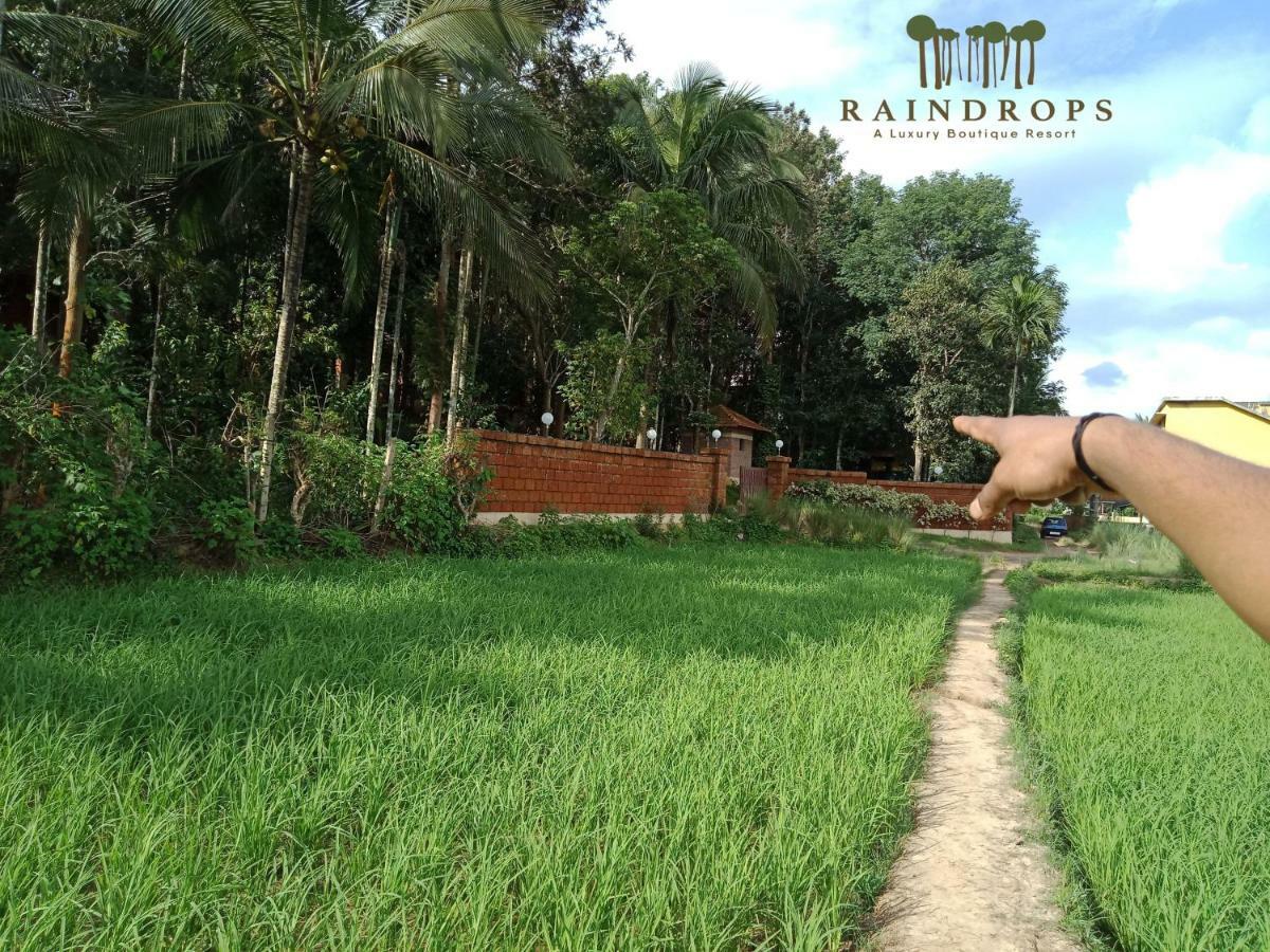 Raindrops Resorts Wayanad 苏丹巴特利 外观 照片